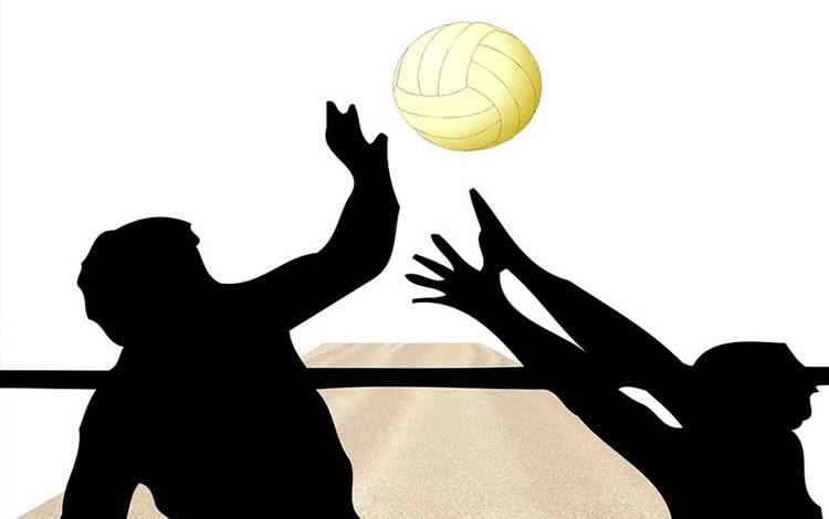Ilustrasi - olahraga bola voli (Foto Antara - Pixabay)