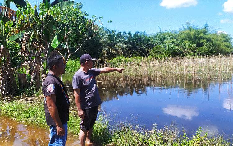 Wakil Ketua DPRD Kotim, Rudianur bersama Kepala Desa Sumber Makmur, Supriyo saat meninjau lahan pertanian warga yang terendam banjir.