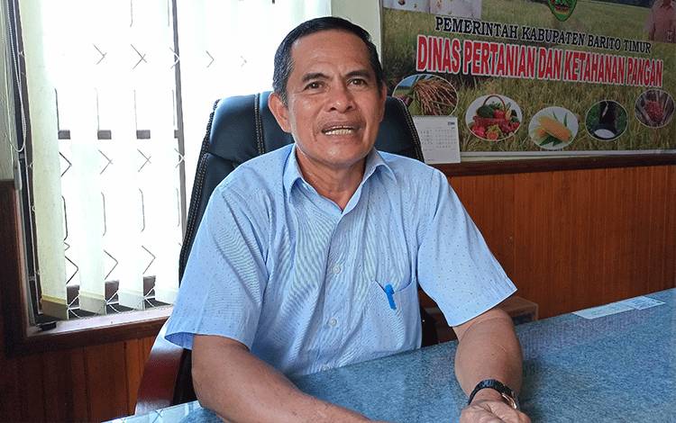 Kepala Dinas Pertanian dan Ketahanan Pangan Kabupaten Barito Timur, Trikorianto.