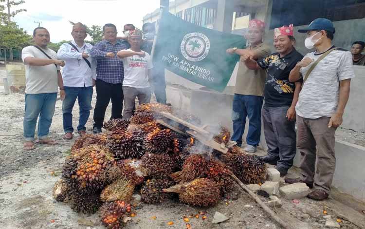 Pengurus APKASINDO Kalteng dan petani membakar buah sawit, Selasa 14 Juni 2022