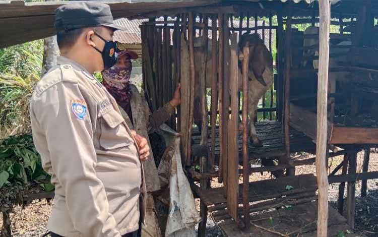 Personel Polsek Basarang saat mengecek ternak sapi warga di Desa Panarung cegah PMK.