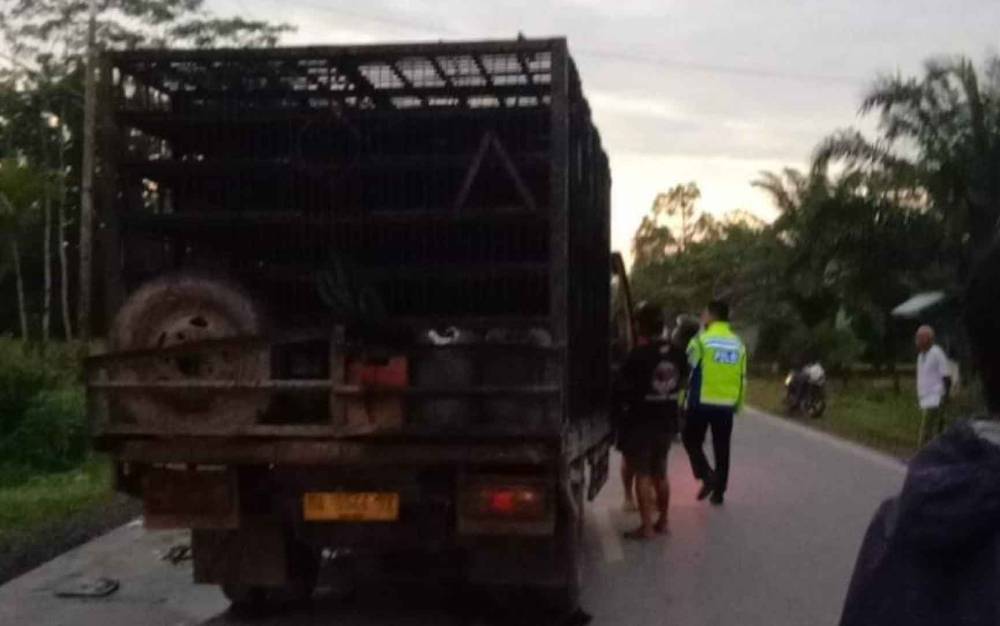 Kondisi kendaraan terlibat kecelakaan di Jalan Trans Kalimantan,Anjir mambulau barat KM 3,5 , Kecamatan Kapuas Timur, Senin 27 Juni 2022