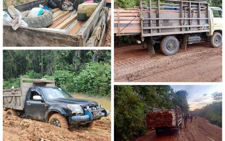 Barang bukti tindak pidana ilegal logging