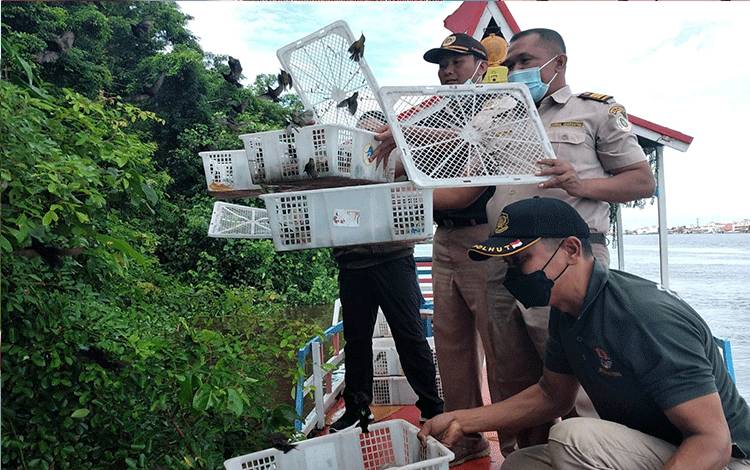Petugas BKSDA dan Balai Karantina melepasliarkan ratusan burung kolibri ninja di alam bebas di Kotawaringin Timur.