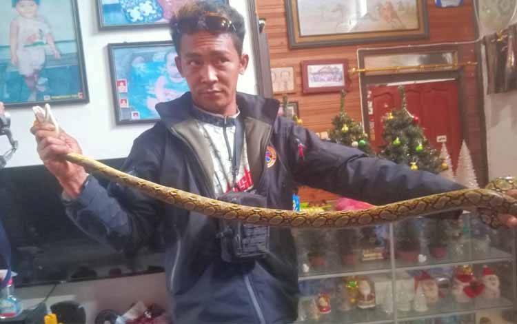 Tim ERP saat berhasil menangkap ular piton sepanjang 2 meter masuk rumah warga