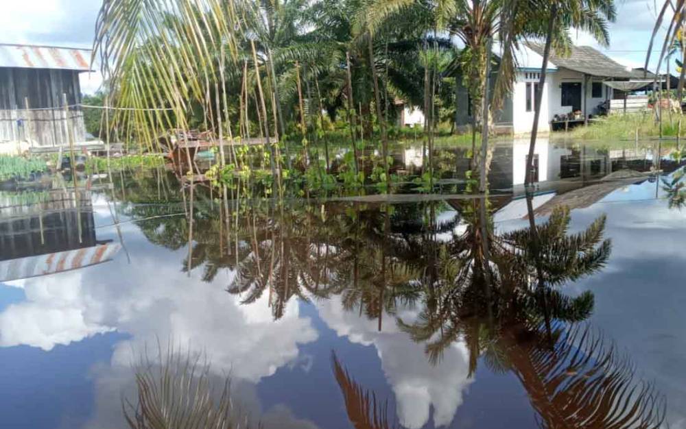 Lahan pertanian warga di Kumpai Batu Bawah terdampak banjir
