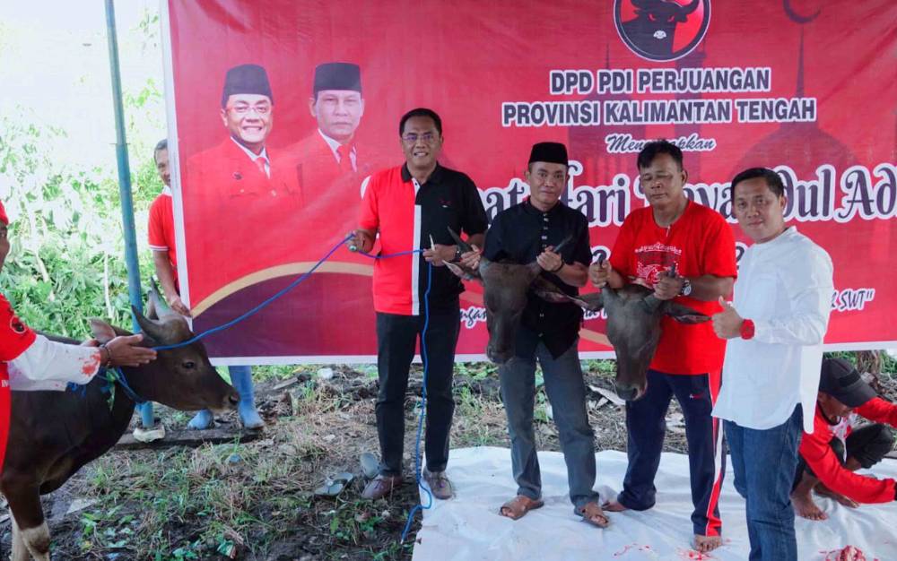 Jajaran pengurus PDI Perjuangan Provinsi Kalimantan Tengah menyembelih3 ekor sapi untuk perayaan Idul Adha tahun 2022 ini, Minggu, 10 Juli 2022. (FOTO: TESTI PRISCILLA)