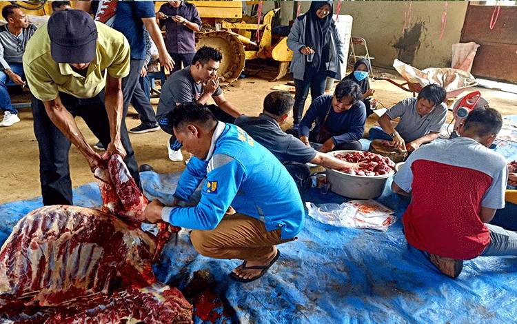 Pegawai Dinas PUPR Barito Utara saat melakukan pemotongan daging hewan kurban untuk di bagikan kepada warga dan para petugas kebersihan, pertamanan, petugas pertamanan dan lainnya di Dinas PUPR setempat, Selasa 12 Juli 2022. (FOTO: DHANI)