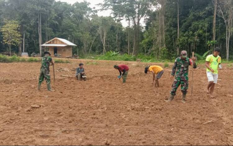 Anggita TNI membuka lahan dengan menanam jagung sebagai contoh bagi masyarakat dalam pemanfaatan lahan tidur.