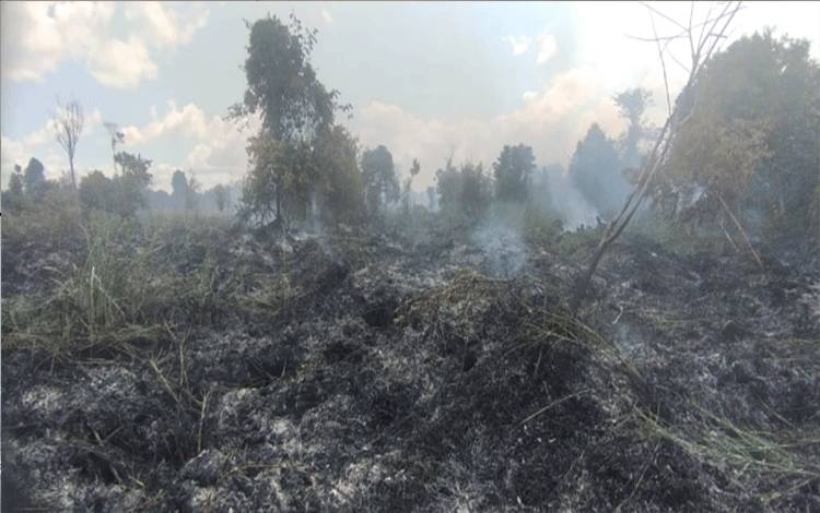Areal hutan di wilayah Desa Tumbang Bulan, Kecamatan Mendawai, Kabupaten Katingan hangus terbakar, namun sore tadi sudah dapat dipadamkan oleh tim pemadam dan juga bantuan hujan, Sabtu, 16 Juli 2022. (Foto: Kecamatan Mendawai)