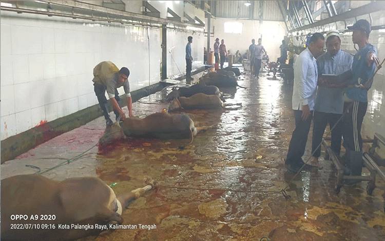 Pemotongan hewan kurban di Rumah Potong Hewan atau RPH Palangka Raya, Minggu, 10 Juli 2022. (FOTO: TESTI PRISCILLA)