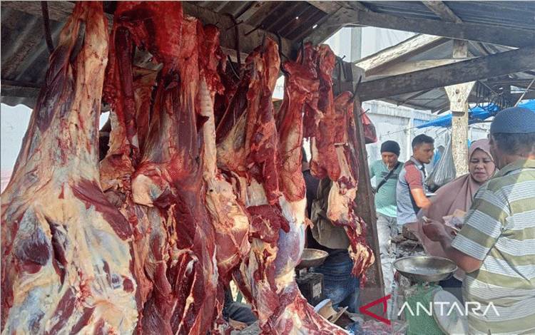 Pedagang dadak menjual daging sapi dan kerbau pada saat tradisi meugang menyambut Idul Adha 1443 Hijriah di Kota Sabang, Aceh, Sabtu (9/7/2022). (ANTARA/Arwella Zulhijjah Sari)