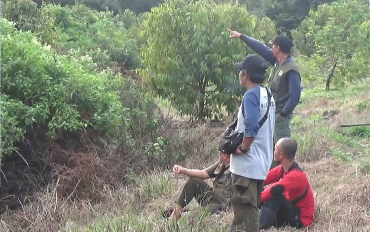 Komandan BKSDA Pos Jaga Sampit Muriansyah bersama petugas dan pemilik kebun saat melakukan pencarian orangutan di Jalan Jendral Sudirman Km 30, Rabu, 3 Agustus 2022. (FOTO: HAMIM)