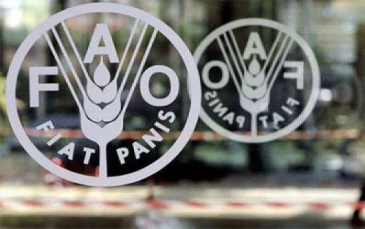 Logo Organisasi Pangan dan Pertanian (FAO). ANTARA/Reuters/Alessandro Bianchi