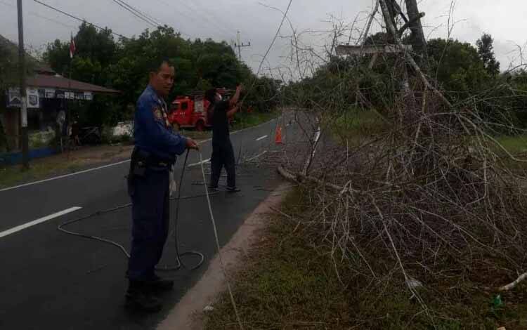 Tim Damkar Kota Palangka Raya saat menebang salah satu pohon yang membahayakan warga sekitar di Jalan Karanggan. (FOTO : Agus Fataroni M)