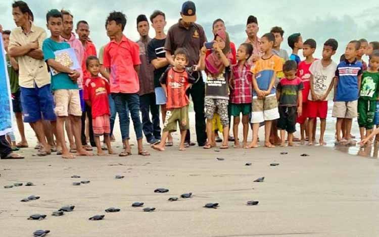 Ikatan Pemuda Peduli Konservasi bersama BKKPN Kupang, BBKSDA NTT, dan masyarakat Desa Nanga Bere telah melepasliarkan 422 ekor tukik ke pantai, Manggarai Barat, NTT, Rabu (17/8/2022). (ANTARA/HO-Dokumentasi Pribadi)