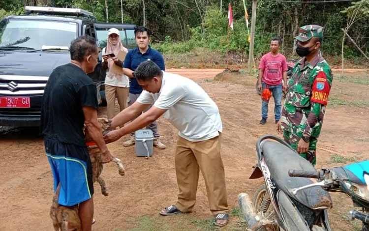 Babinsa Kelurahan Pangkut saat mendampingi Tim Keswan Kobar memberikan Vaksinasi Rabies pada anjing peliharaan warga. (FOTO : KORAMIL ARUTA)