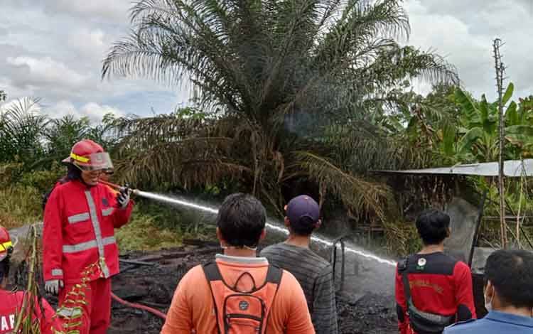Personel Damkar Kobar saat memadamkan sebuah pondok yang terbakar, Kamis, 8 September 2022