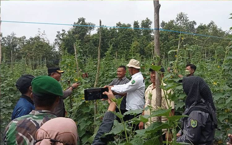 Bupati Sukamara, Windu Subagio berkunjung dilahan pertanian milik Kelompok Tani Mekar Utama, Desa Natai Sedawak, Minggu, 18 September 2022. (FOTO: NORHASANAH)