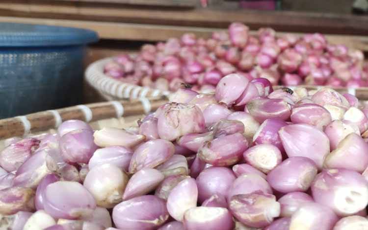 Bawang mewah di pasar besar Kota Palangka Raya. Pemprov Kalteng menyiapkan subsidi untuk petani komoditi yang mempengaruhi inflasi daerah. (FOTO: HERMAWAN)