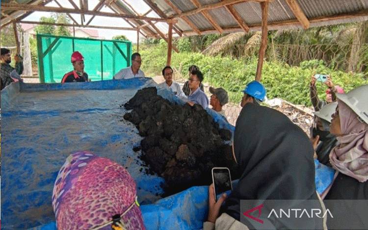 Tim Kedaireka Fakultas Pertanian ULM saat memberikan pelatihan pemanfaatan limbah solid decanter kelapa sawit untuk pengembangan pakan ikan dan pupuk organik berbasis budidaya maggot di PT KIU, Tapin. (ANTARA/Firman)