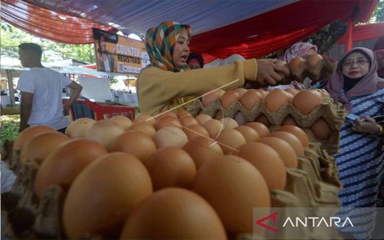 Pedagang menata telur ayam pada Bazar Sembako di halaman Kantor Gubernur Sumatera Barat di Padang, Selasa (20/9/2022) (Antara/Iggoy El Fitra)