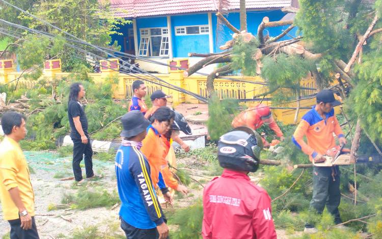 Pohon yang tumbang akibat tiupan angin kencang didepan Kantor PWI Kobar, Selasa, 4 Oktober 2022