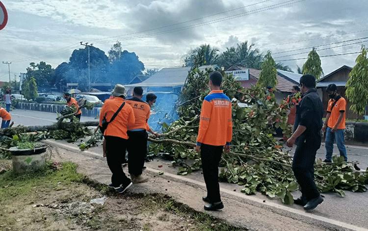  Sejumlah petugas dari BPBD Kabupaten Lamandau tengah mengevakuasi pohon tumbang di sekitar komplek perkantoran Bukit Hibul, Nanga Bulik. (FOTO : HENDI NURFALAH)