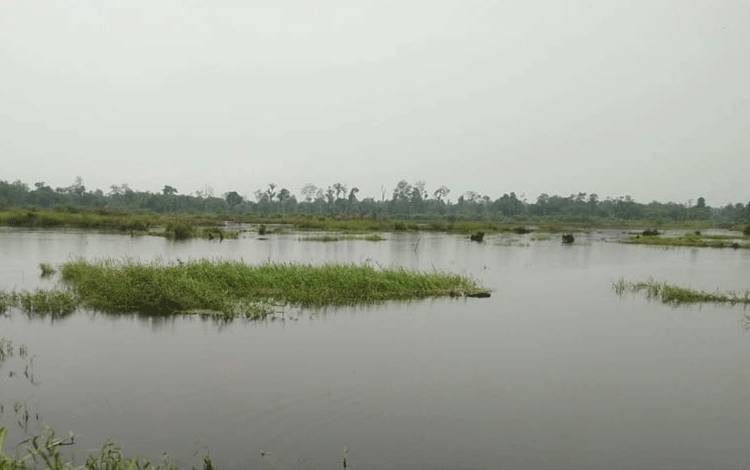 Kondisi lahan di salah satu desa terendam akibat banjir, sehingga petani tidak bisa mengolah lahan untuk memulai masa tanam(Foto : Istimewa)