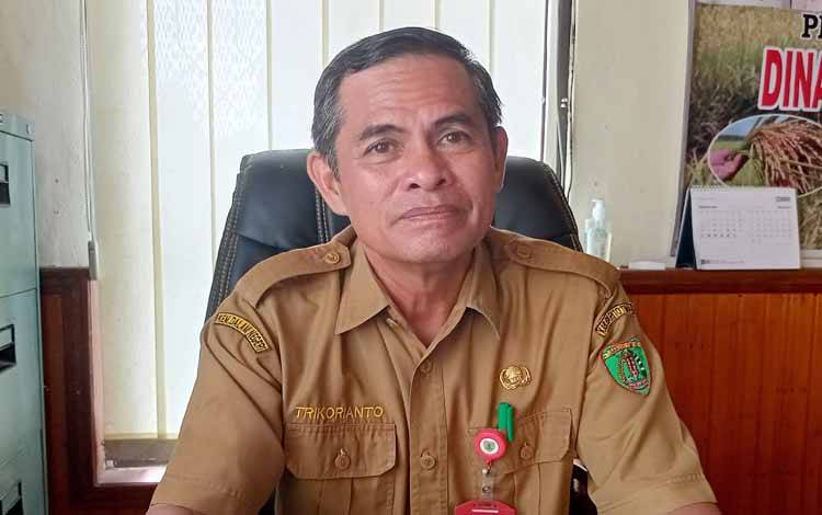 Kepala Dinas Pertanian dan Ketahanan Pangan Barito Timur, Trikorianto. (FOTO: BOLE MALO)