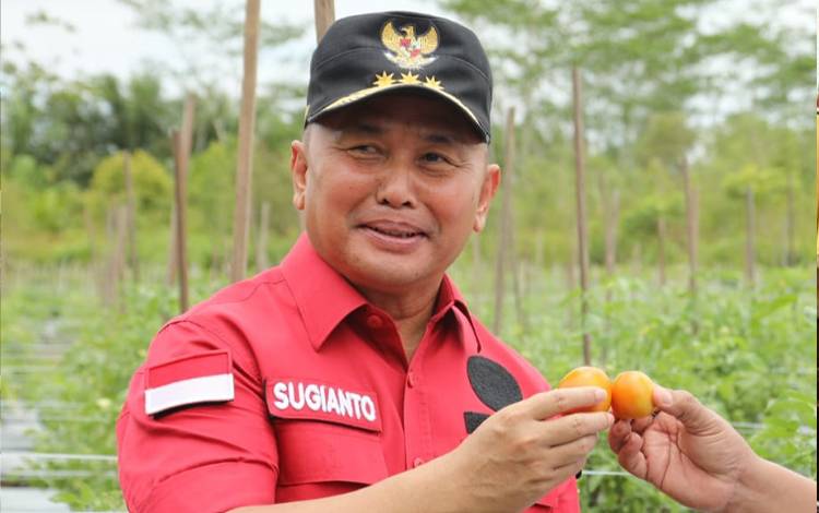Gubernur Kalteng, Sugianto Sabran (FOTO: ISTIMEWA)