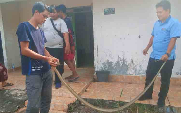  Tim ERP berhasil menangkap ular king kobra sepanjang 3 meter yang masuk ke dalam kamar rumah warga. Senin, 31 Oktober 2022. (POTO : PARLIN TAMBUNAN).