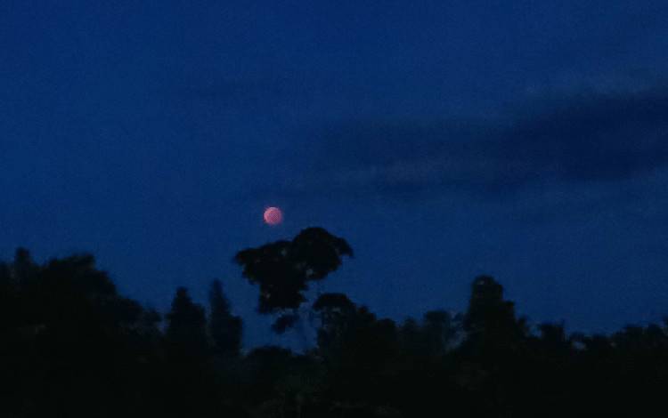 Potret gerhana bulan di langit Kuala Kurun pada Selasa, 8 November sekitar pukul 17.45. (FOTO: RISKA YULYANA)
