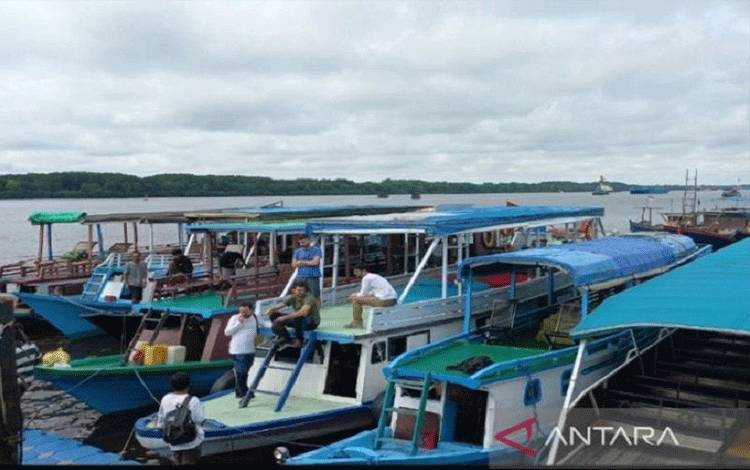 Kapal wisata yang bersandar di pelabuhan TN Tanjung Puting Kecamatan Kumai, Kotawaringin Barat. (ANTARA/M Husein Asyari)