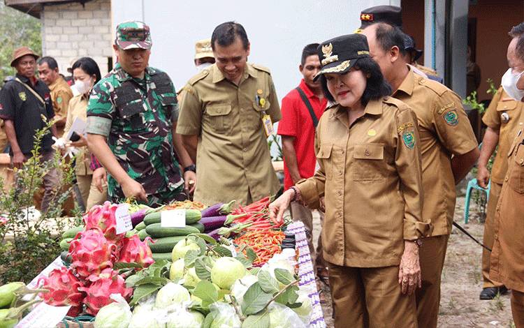 Bupati Pulpis meninjau hasil perkebunan hortikultura kelompok tani Kecamatan Jabiren Raya, belum lama ini.