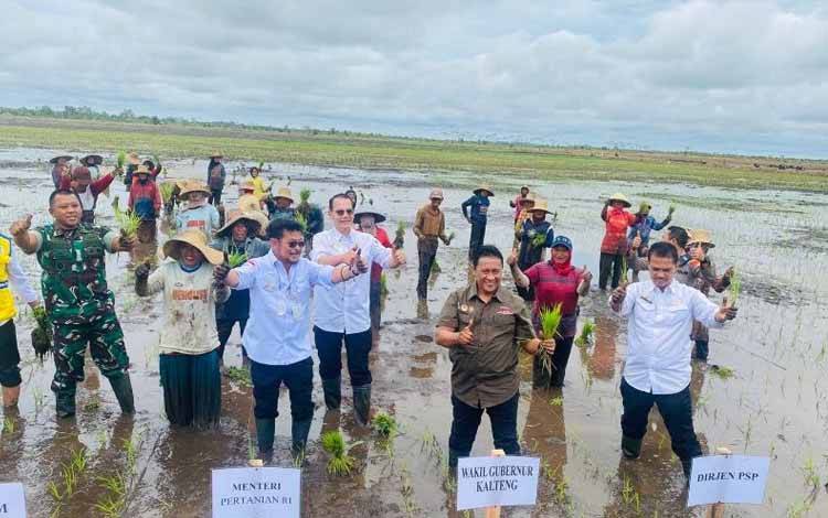 Mentan Syahrul Yasin Limpo bersama Wagub Kalteng H. Edy Pratowo menanam padi Varietas Inpari 32. (FOTO: IST)