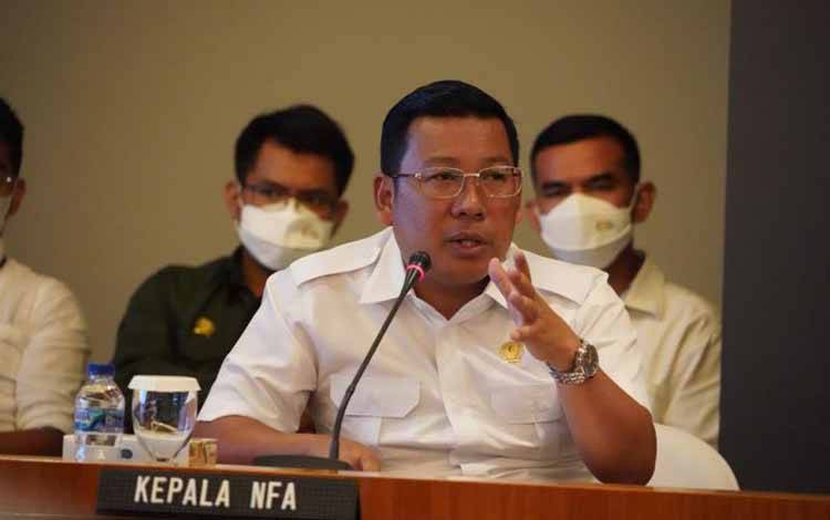 Kepala Badan Pangan Nasional/National Food Agency (NFA), Arief Prasetyo Adi. ANTARA/HO-NFA.