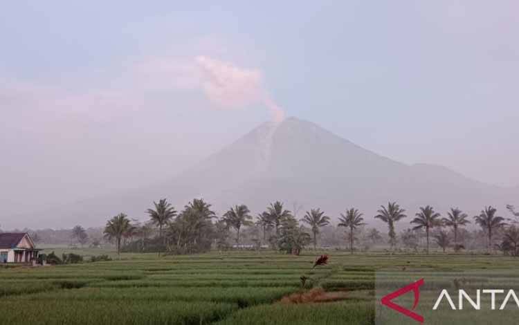 Gunung Semeru masih mengalami erupsi yang terlihat dari Desa Sumberwuluh, Kecamatan Candipuro, Kabupaten Lumajang, Senin (5/12/2022). (ANTARA/VJ Hamka Agung Balya)