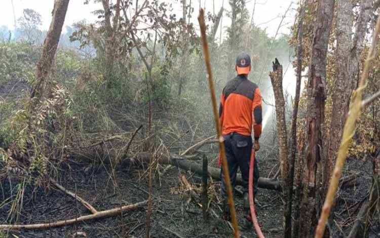 Anggota BPBD Kotawaringin Barat memadamkan kebakaran lahan di Kecamatan Arut Selatan, Minggu (25/12/2022). ANTARA/HO-BPBD Kobar