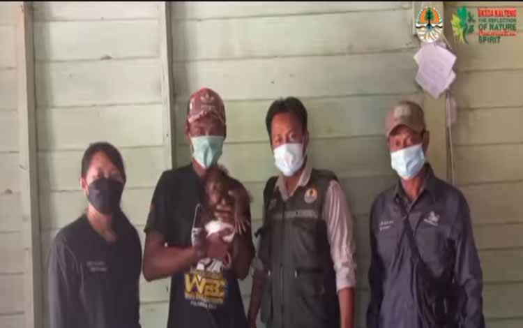 Petugas BKSDA Kalteng saat menerima penyerahan Bayi Orangutan dari Warga di Desa Belawan Mulya Kecamatan Manuhing Kabupaten Gunung Mas belum lama ini