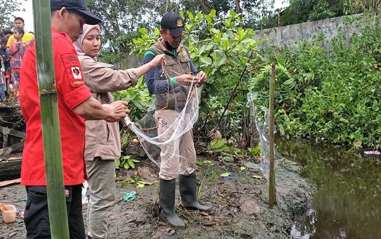 Badan Konservasi Sumber Daya Alam (BKSDA) bersama Manggala Agni memasang jerat buaya di Sungai Mentawa, Selasa, 3 Januari 2022 (FOTO: DEWIP)