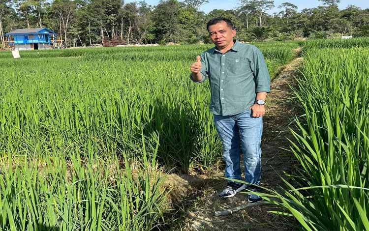  Kepala Dinas Pertanian Kabupaten Barito Utara, Syahmiludin A Surapati. (foto: Dhani)