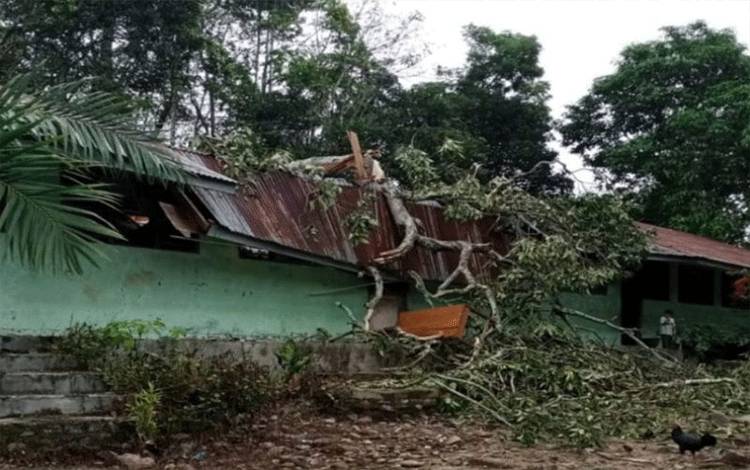 Atap kelas 1 SDN 125 Tebing Tinggi, Kecamatan Panyabungan Timur, Madina mengalami rusak parah setelah tertimpa pohon. (ANTARA/Holik)