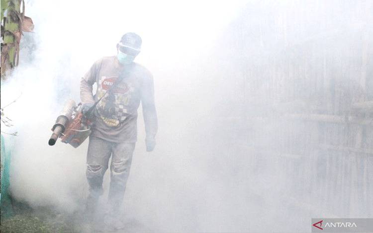 Petugas melakukan pengasapan (fogging) di kawasan permukiman yang tiga orang warganya positif terjangkit demam berdarah dengue (DBD) di Desa Kepuharjo, Malang, Jawa Timur, Selasa (31/1/2023). ANTARA FOTO/Ari Bowo Sucipto/tom (ARI BOWO SUCIPTO/ARI BOWO SUCIPTO)