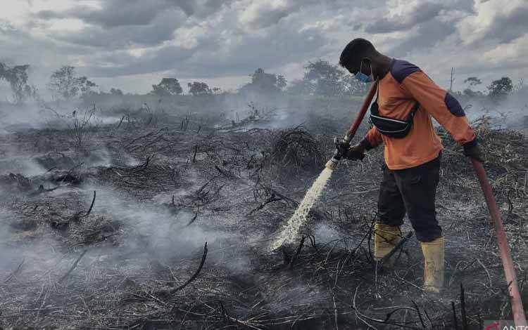 Petugas pemadam kebakaran melakukan proses pendinginan lahan gambut yang terbakar di Desa Natai Baru, Pangkalan Bun, Kotawaringin Barat, Kalimantan Tengah, Senin (2/1/2023). ANTARA FOTO/Ario Tanoto/mz/wsj.