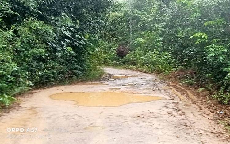 Kondisi jalan yang rusak dan membentuk kubangan di Dusun Katambung Desa Haringen Kabupaten Barito Timur, Minggu, 12 Februari 2023. (FOTO: BOLE MALO)
