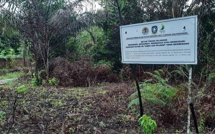 Kesatuan Pengelolaan Hutan Produksi (KPHP) Unit IV Bintan - Tanjungpinang memasang papan pengumuman berisi peringatan untuk tidak merusak hutan di Bintan, Kepulauan Riau. FOTO ANTARA/Nikolas Panama