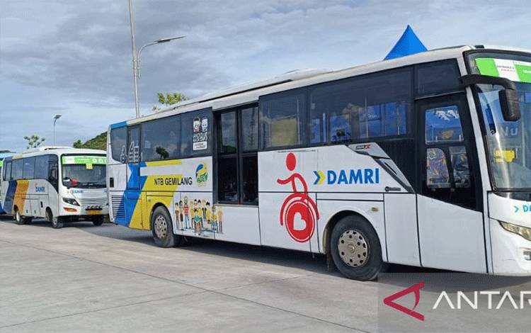 Sejumlah bus dari Damri yang disediakan pemerintah untuk melayani penumpang atau penonton World Superbike (WSBK) dari dan menuju Sirkuit Mandalika, Kabupaten Lombok Tengah, Nusa Tenggara Barat (NTB), Minggu (5/3/2023). (ANTARA/Dishub NTB).