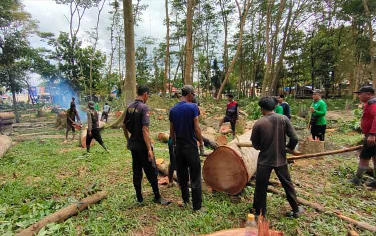 Penebangan pohon di taman Hutan Kota Kuala Kapuas. (FOTO: IST)