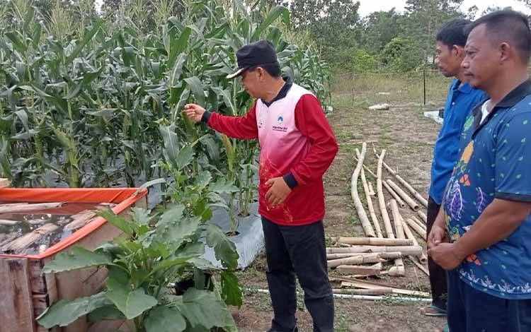 Wakil Bupati Sukamara, Ahmadi saat meninjau tanaman yang akan dipersiapkan pada acara PEDA KTNA XIII Tingkat Provinsi Kalimantan Tengah, Jumat, 15 Mei 2023. (FOTO: NORHASANAH)